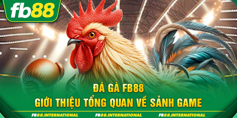 Đá gà FB88 - Giới thiệu tổng quan về sảnh game