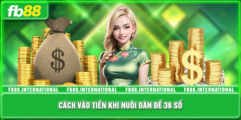 Chiến lược đầu tư hiệu quả khi nuôi dàn đề 36 con