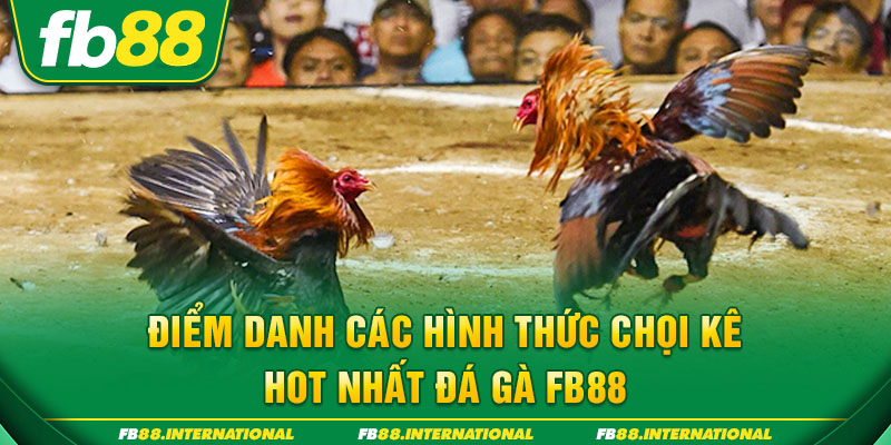 Điểm danh các hình thức chọi kê hot nhất Đá gà FB88