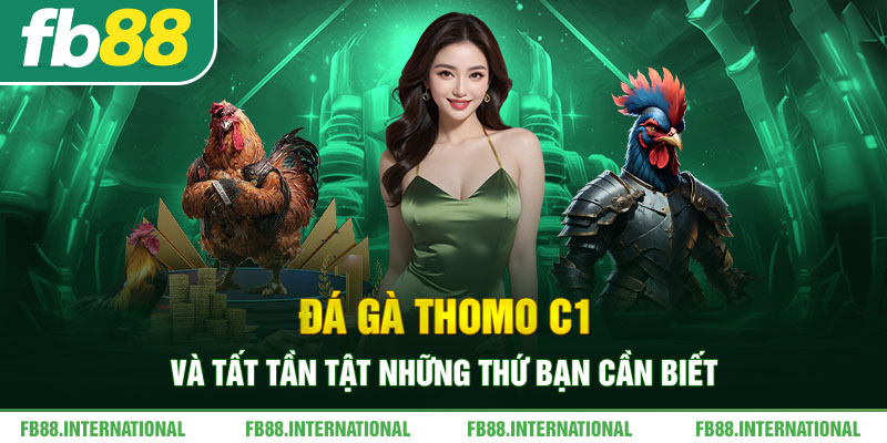 Đá Gà Thomo C1 Và Tất Tần Tật Những Thứ Bạn Cần Biết